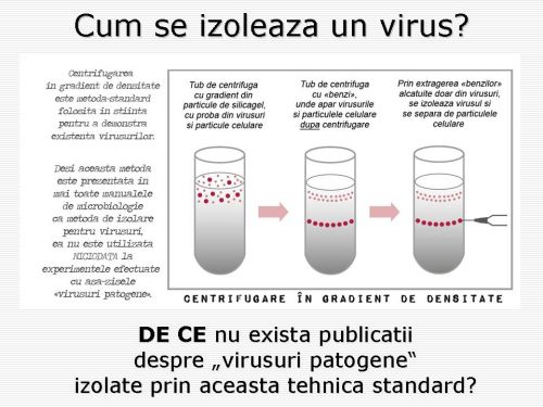 Cum se izoleaza un virus